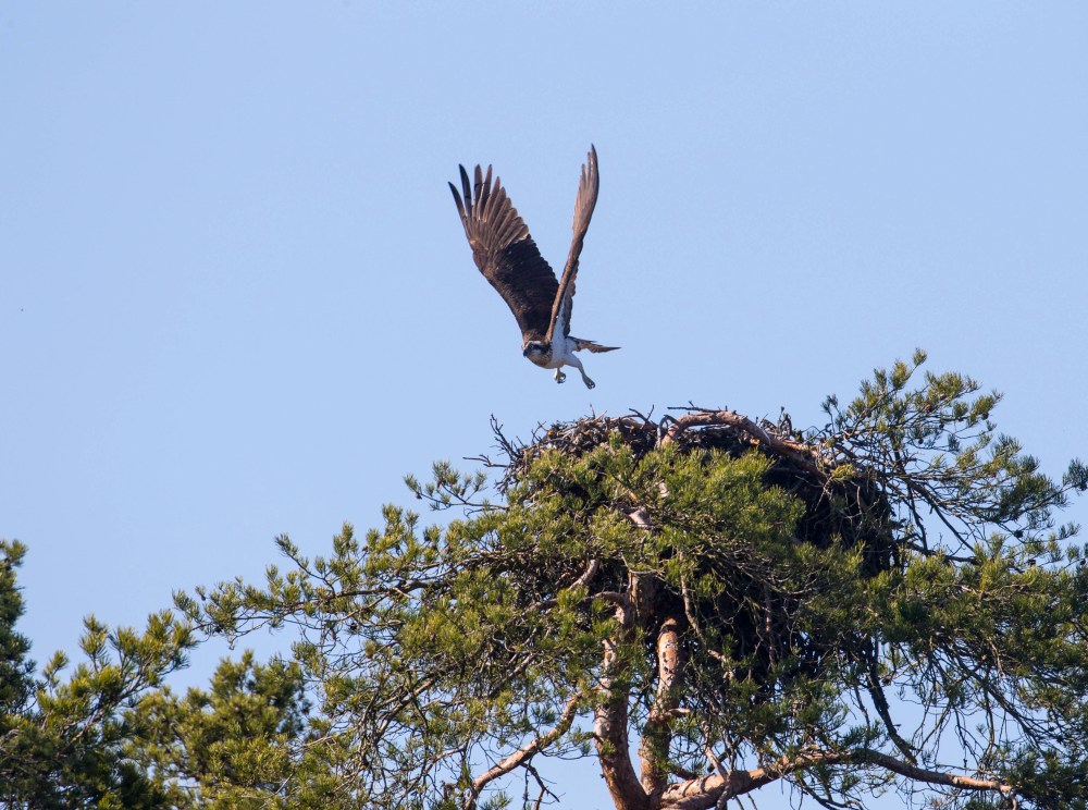 160504-espoo-c2-1399