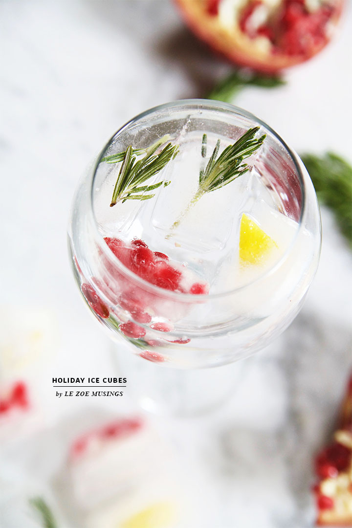 holiday-ice-cubes-by-le-zoe-musings4