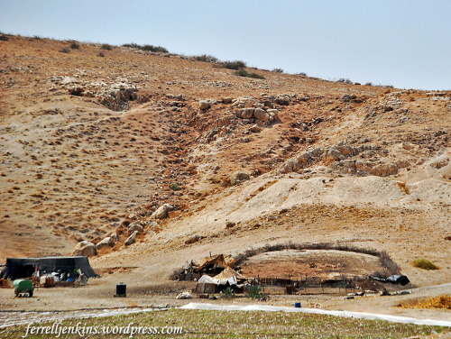 Bedouin camp and sheepfold in the Jordan Valley in late August. Photo by Ferrell Jenkins.
