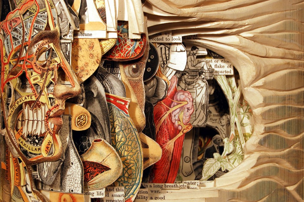 book-surgeon-carvings-art-brian-dettmer-15