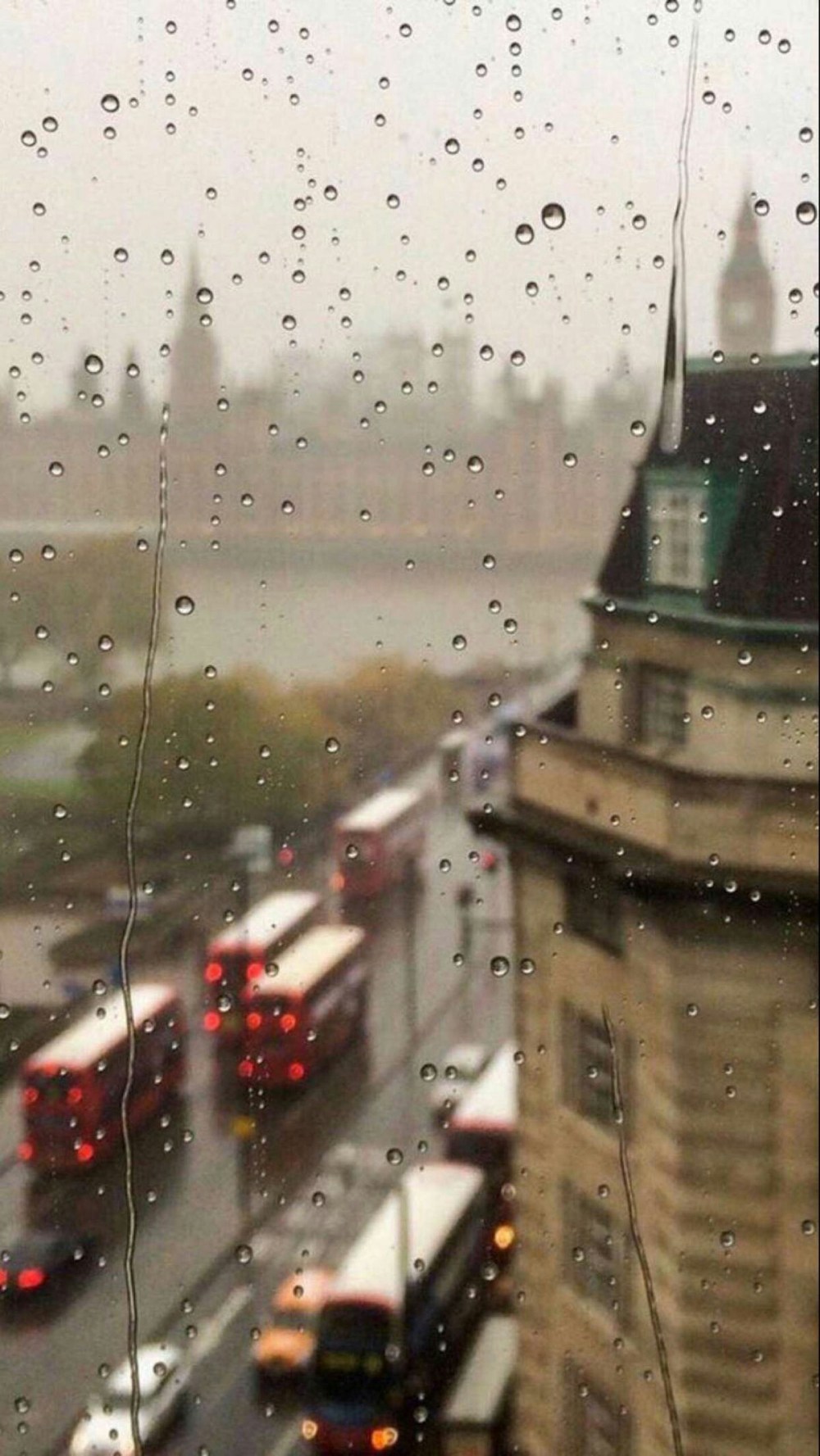 110eedfa450e82dda6763cff657d617a