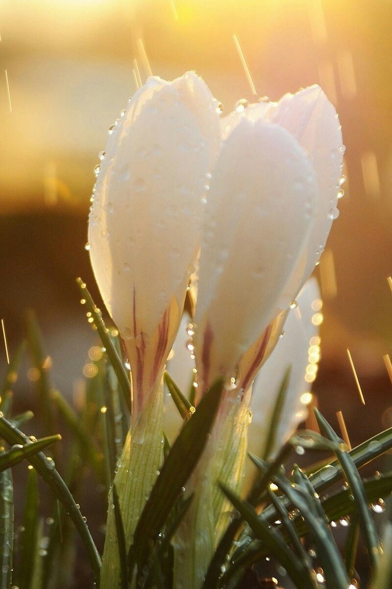 2da78575a40dc9884d94d0ab64fd575c