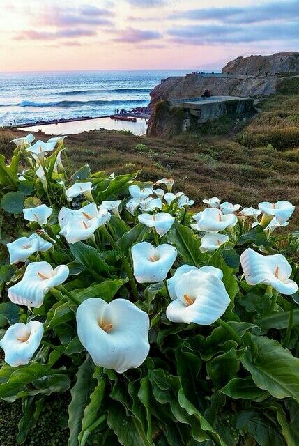 3ea4a8a143da93c2a6826bd5258a9fbe