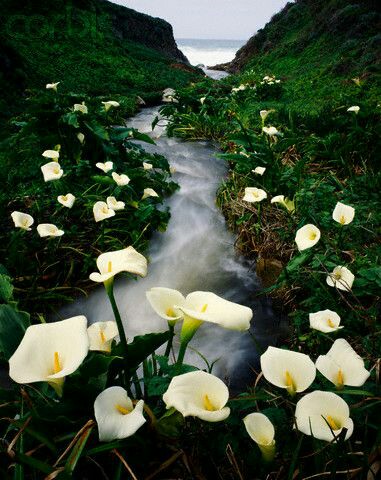 55a251f59d4b138b5244be478e2699b6