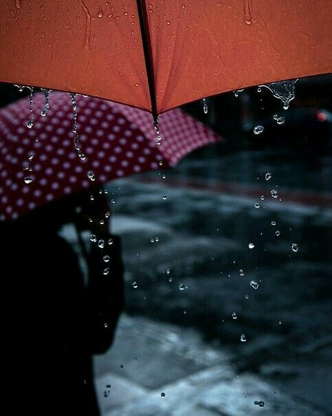 91956c663cabdd9b41f95a0b8a8e365b